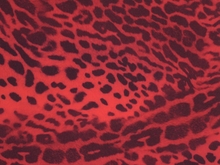 Savannah Animal Print Lycra - Red/Black