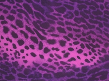 Savannah Animal Print Lycra - Electric Pink/Grape/Black