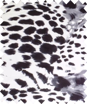 Snow Leopard Lycra - Black/White