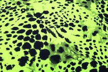 Snow Leopard Lycra - Tropic Lime/Black