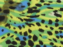 Snow Leopard/Psycho Lycra - Tropic Lime/Flo. Emerald/Turquoise/Black