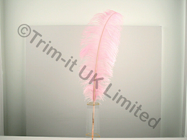 Ostrich Plumes-spadones - Sugar Pink