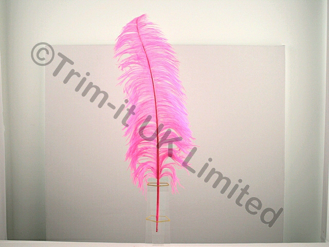 Ostrich Plumes-spadones - Flo. Cerise