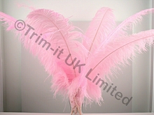 Ostrich Plumes-Spadones Pack of 10 - Sugar Pink