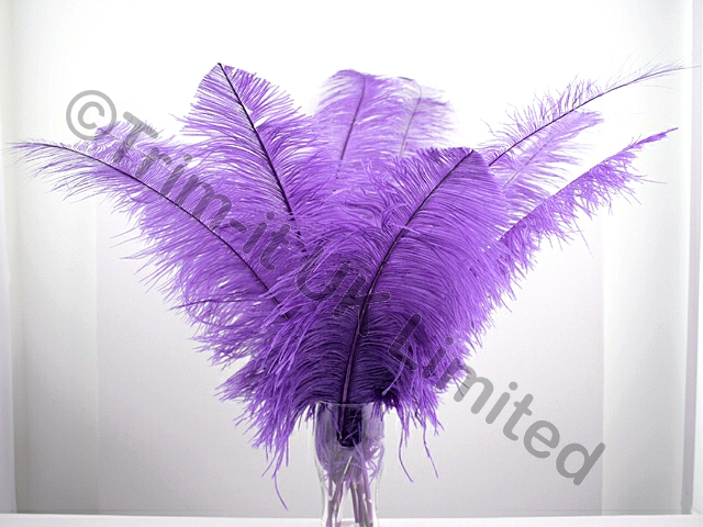 Ostrich Plumes-Spadones Pack of 10 - Purple