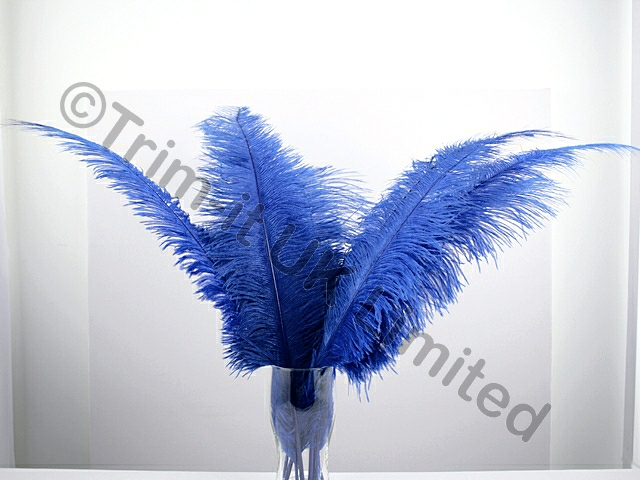 Ostrich Plumes-Spadones Pack of 10 - Royal Blue