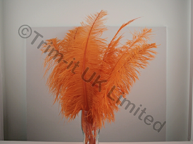 Ostrich Plumes-Spadones Pack of 10 - Flo. Orange