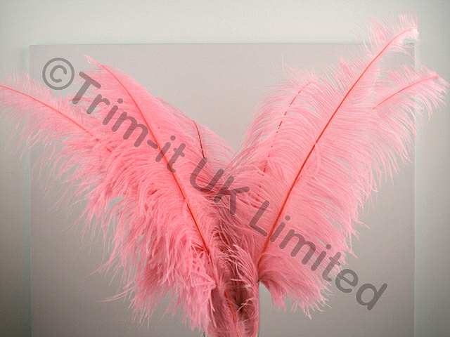 Ostrich Plumes-Spadones Pack of 10 - Flo. Peach