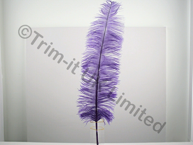 Ostrich Plumes-spadones - Purple