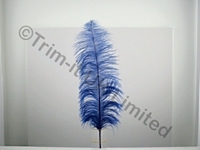 Ostrich Plumes-spadones - Royal Blue