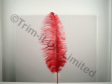 Ostrich Plumes-spadones - Red