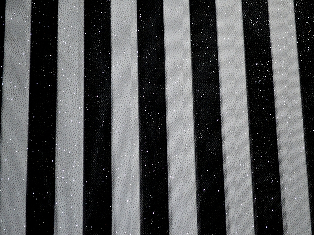 Striped Glitter Stretch Net-20mm wide - Black/White