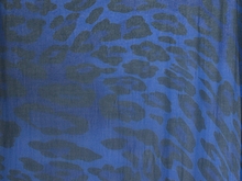 Wild Stretch Sheer - Electric Blue/Royal Blue