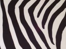 Zebra Lycra - Black/White