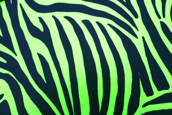 Zebra Lycra - Flo.Apple/Black