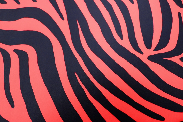 Zebra Lycra - Flame Red/Black