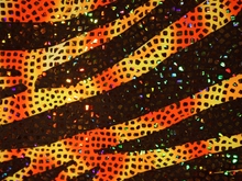 Zebra/Psycho Hologram Lycra - Tropic Lime/Flo. Orange/Black