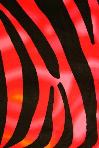 Zebra/Psycho Lycra - Flo. Orange/Neon Candy/Valentino/Black