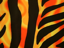 Zebra/Psycho Lycra - Tropic Lime/Flo. Orange/Black